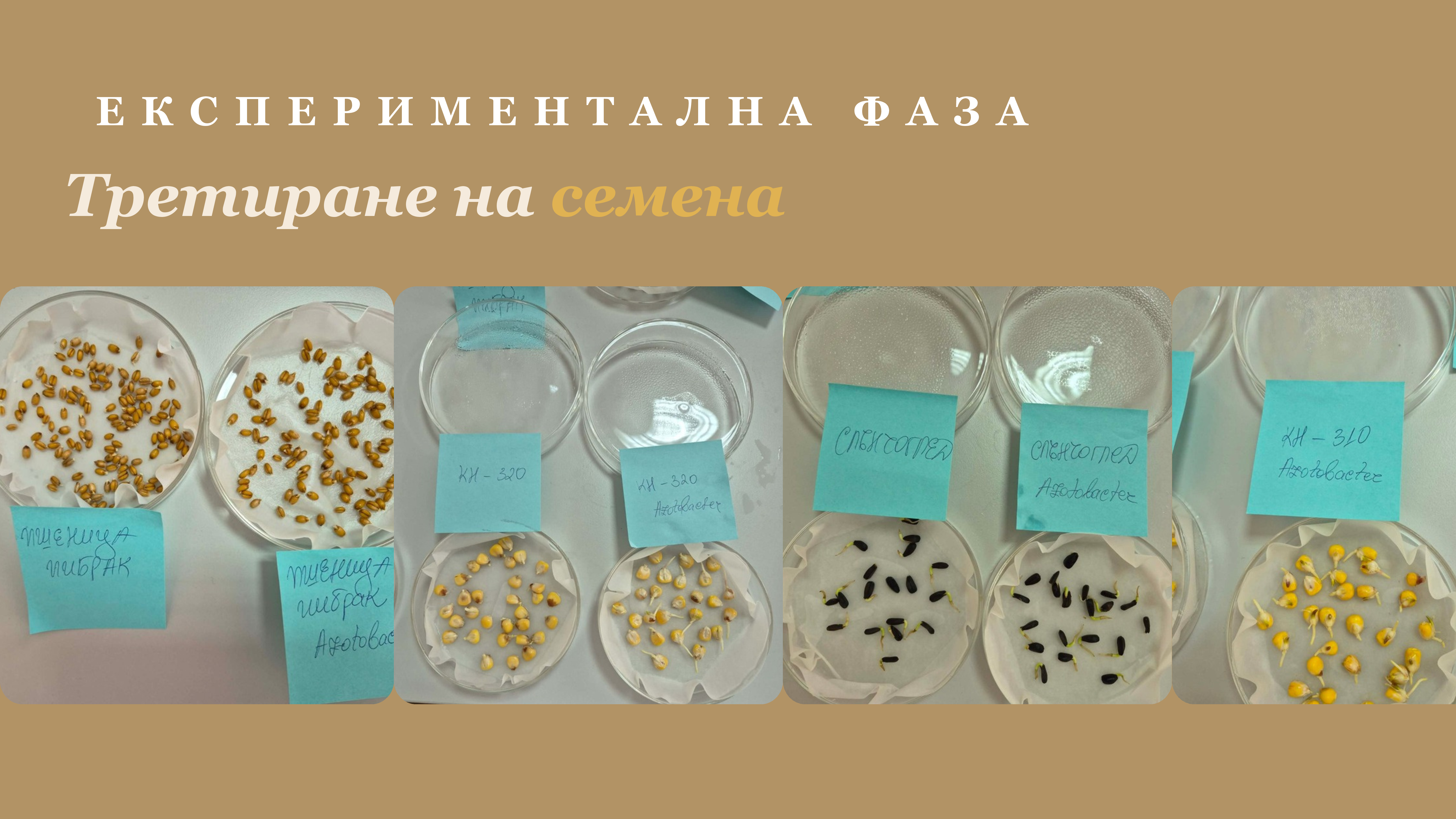 Третиране на семена