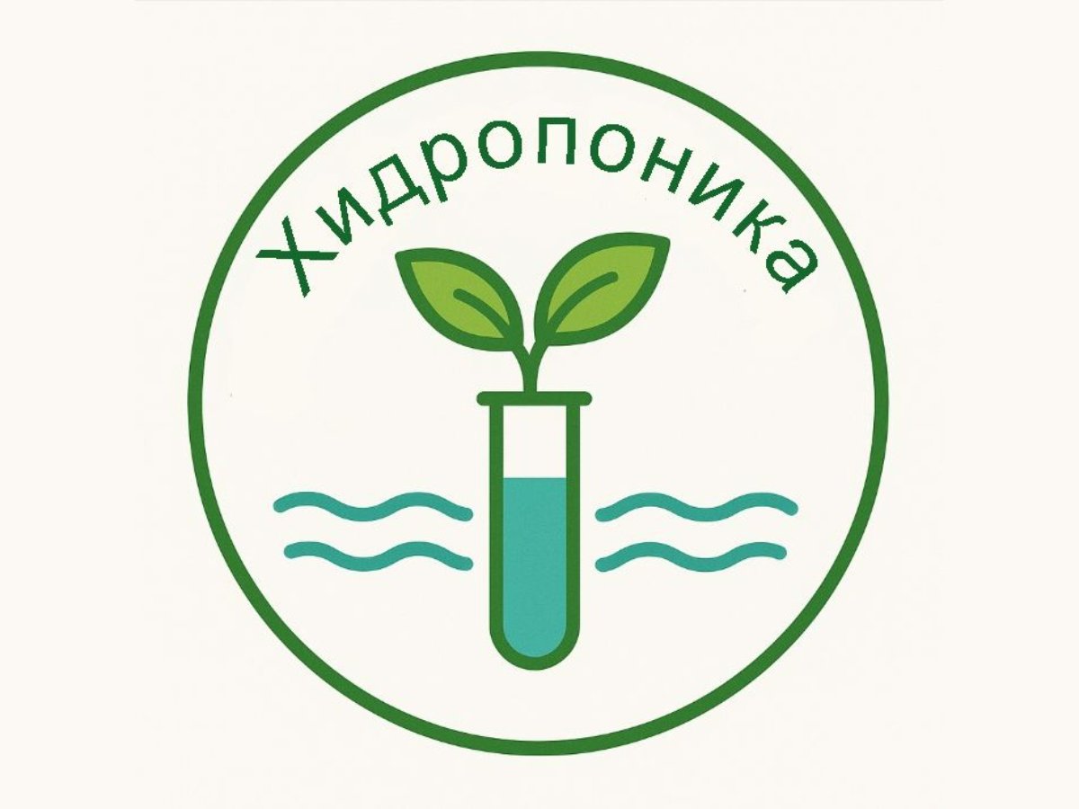 Хидропоника - приложение в земеделието